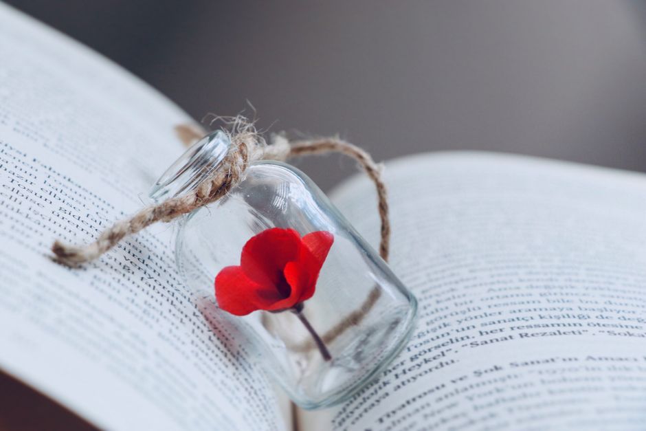 A small red flower encased in a glass bottle placed on an open book, symbolizing fragility and beauty.