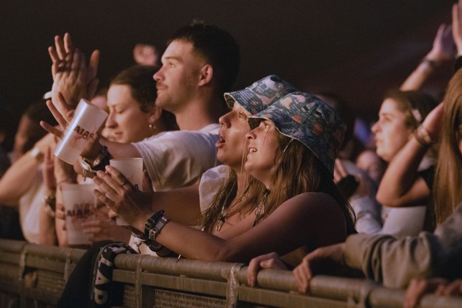 Excited concertgoers at a lively music event, soaking in the atmosphere.