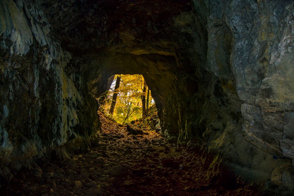An autumn forest view framed through a dark cave entrance, showcasing vibrant fall foliage.