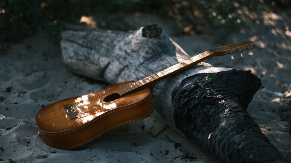 Serene scene of an acoustic guitar resting on driftwood at the beach, capturing nature's tranquility.