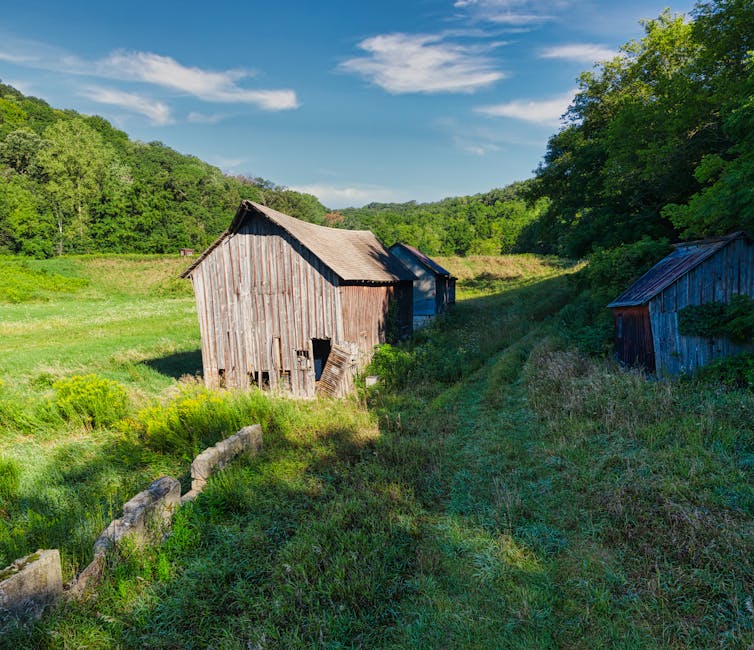 Abandoned wooden farmhouse in a rural field surrounded by trees under blue skies.