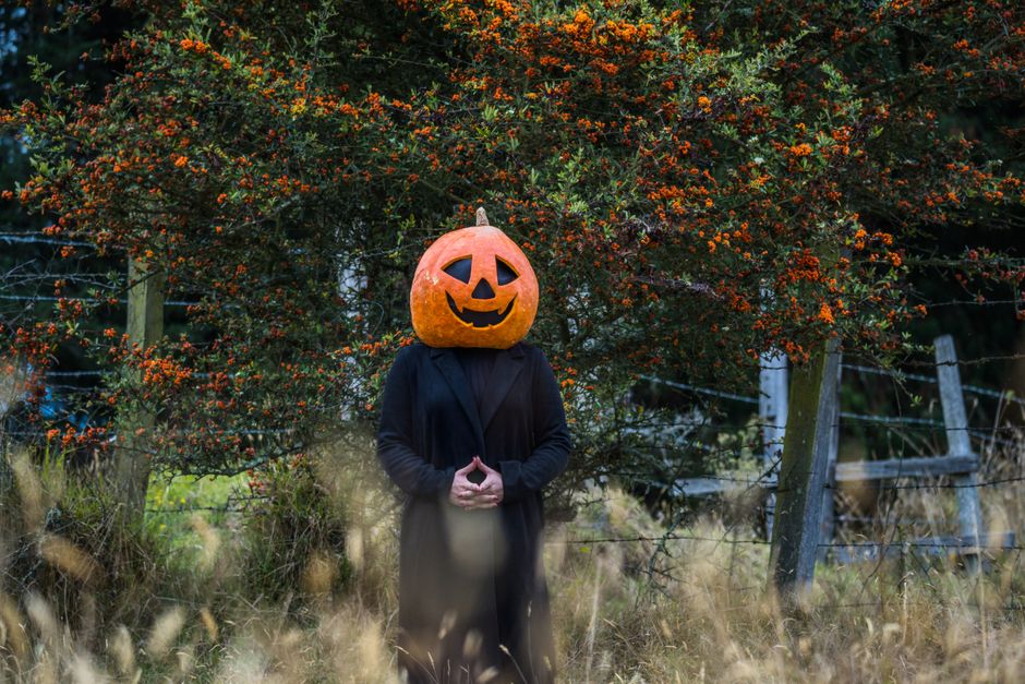 A person with a pumpkin head in rustic forest surroundings with vibrant autumn foliage.